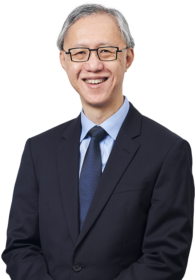 Professor Tan Cheng Han